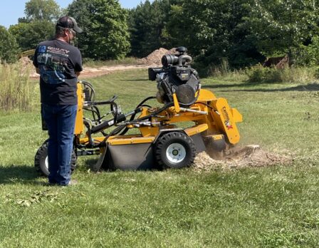 image1 (1) image1 (1)