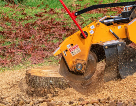 Stump Grinding A Tree Trunk - Close Up